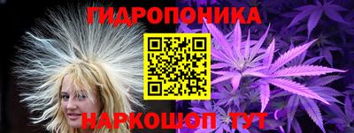 гашик Пенза