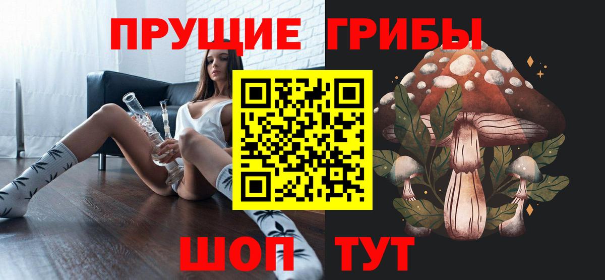 Галлюциногенные грибы Psilocybe Северск