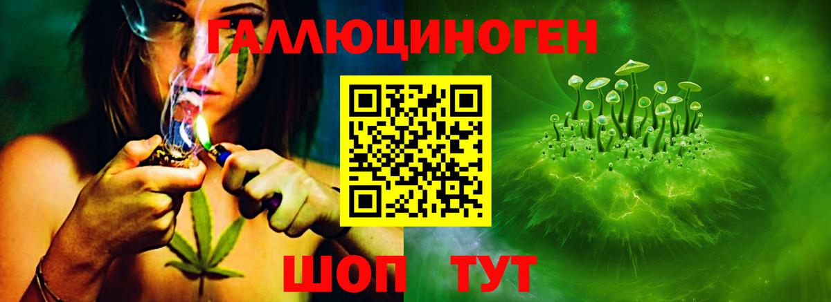 Северск  купить   Вход с VPN  Псилоцибиновые грибы ЛСД 