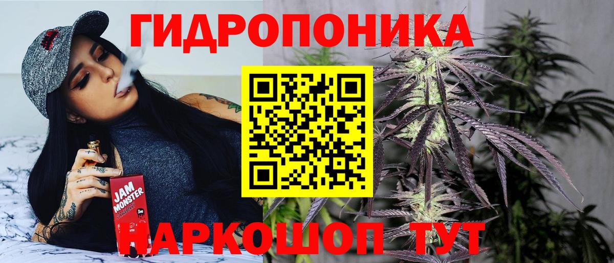Конопля SATIVA & INDICA  Вход с VPN  Северск  Конопля VHQ  Каннабис семена 